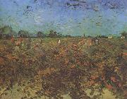 Vincent Van Gogh The Green Vineyard (nn04) USA oil painting reproduction